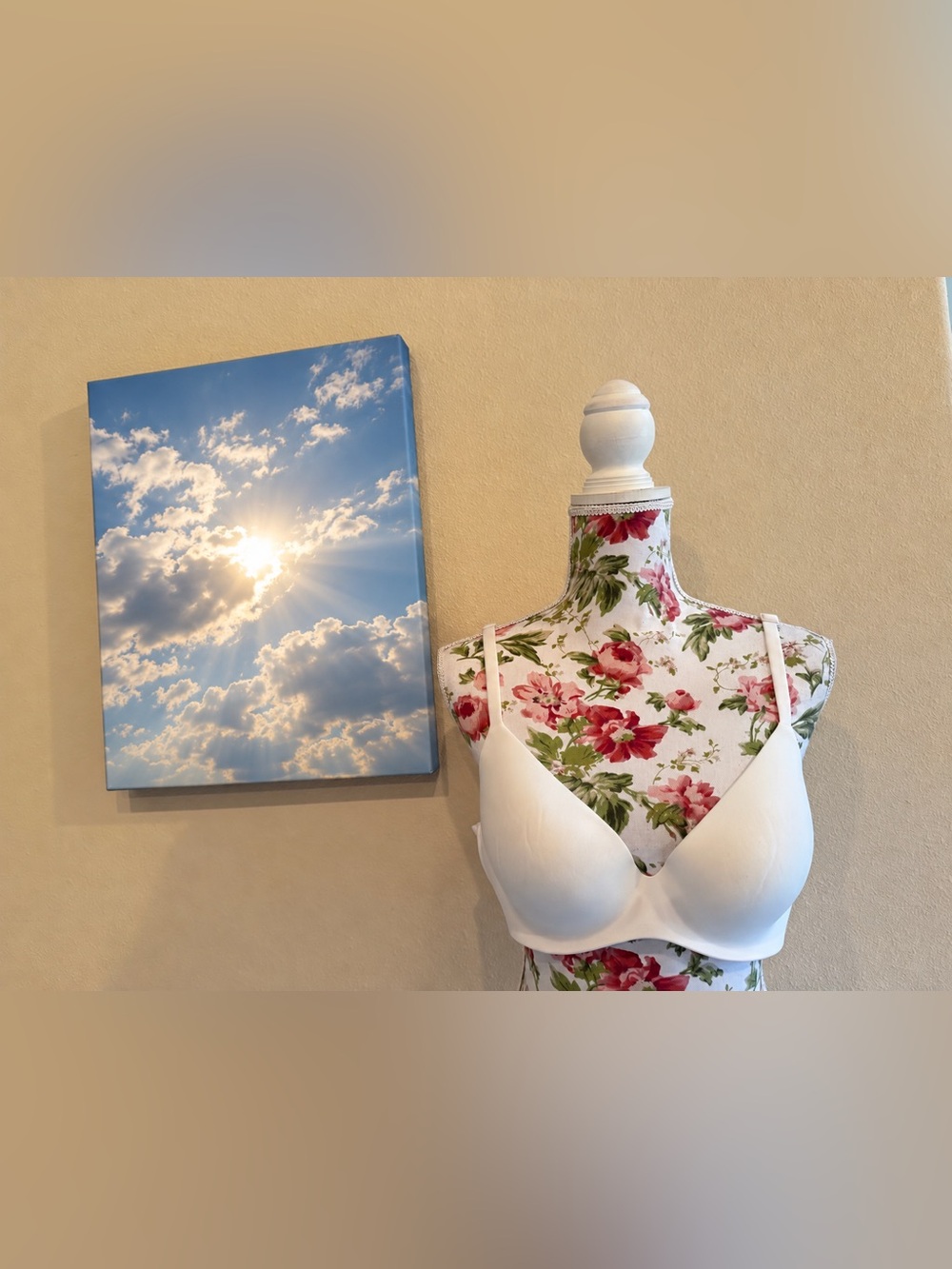 NWT Victoria’s Secret Body by Victoria White Demi Bra 38B